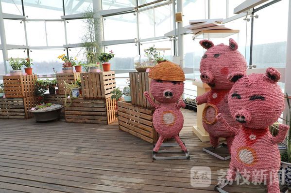 【荔枝网】猪年看“猪”植物展 南京中山植物园等你来哟