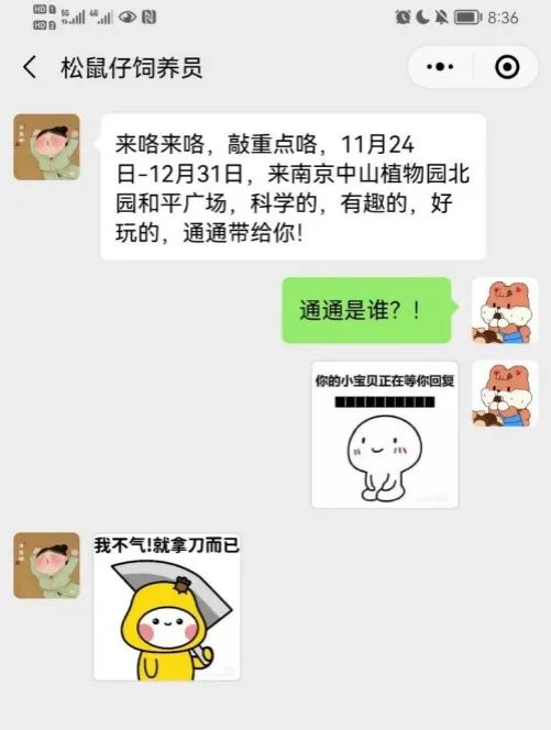 核桃7.jpeg