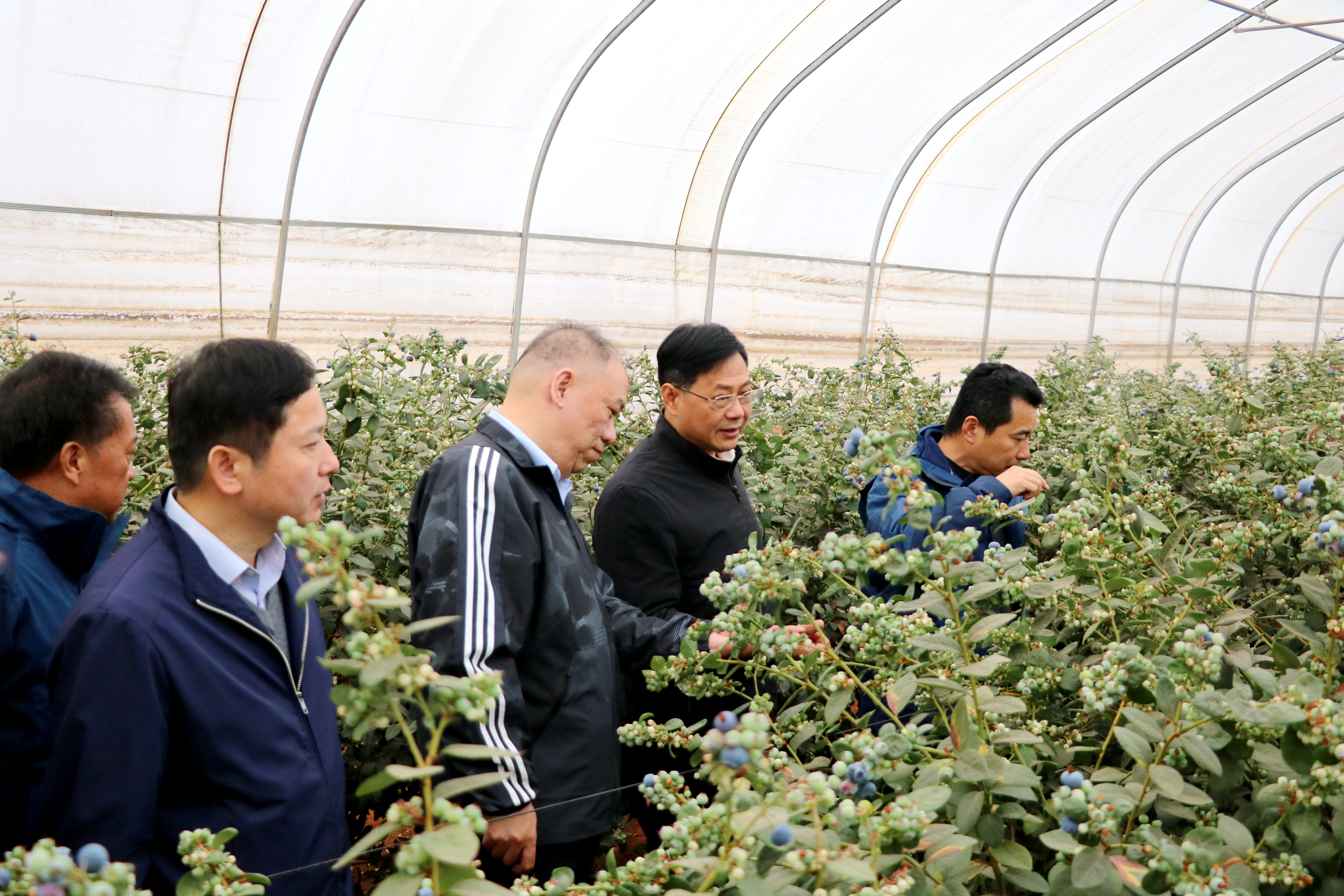 所领导赴昆明所和版纳园考察交流-3.jpg