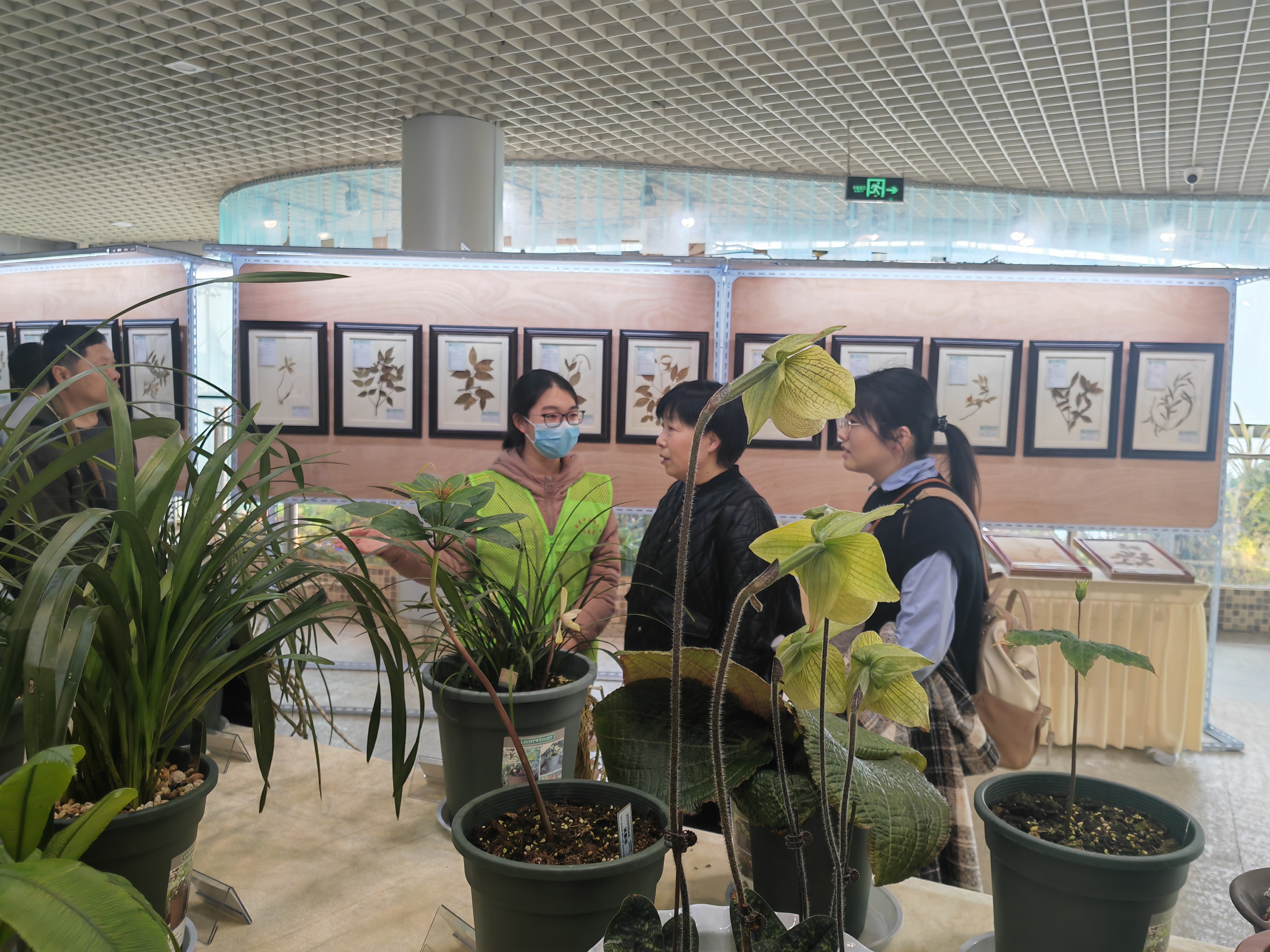 学雷锋：所（园）科技志愿团队守护珍稀濒危植物