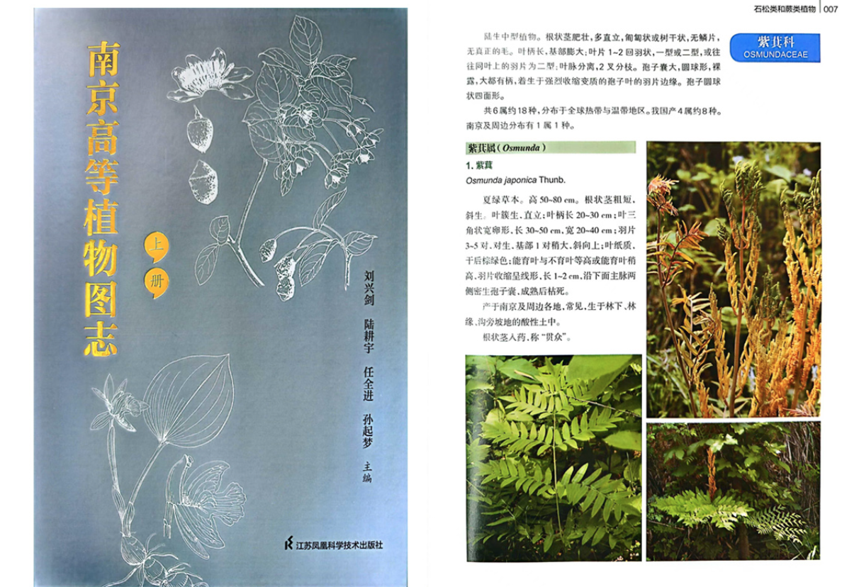 所（园）主编的《南京高等植物图志》正式出版