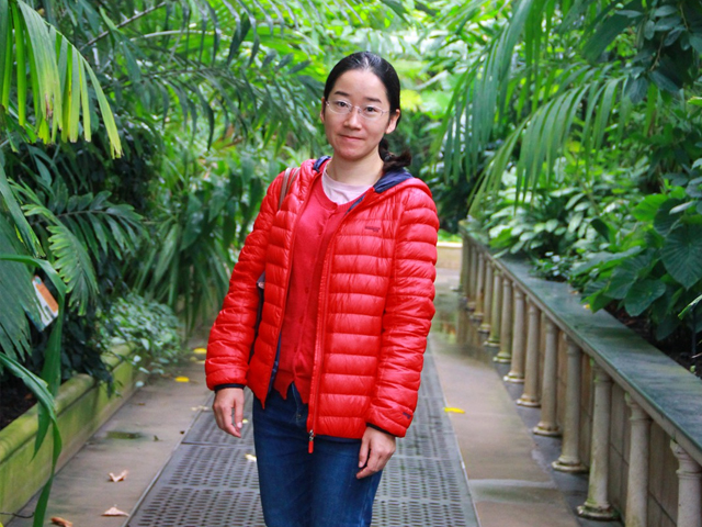孙小芹 